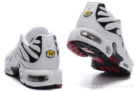 gros nike tn 2011 (2)